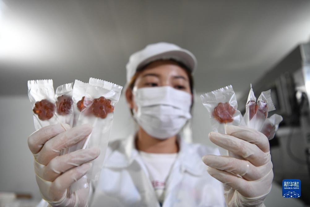 姚记斗地主官方下载